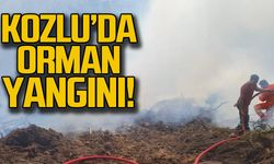 Kozlu'da orman yangını!