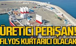 Üretici perişan! Filyos kurtarıcı olacak