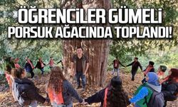 Öğrenciler porsuk ağacında toplandı