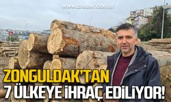 Zonguldak'tan 7 ülkeye ihraç ediliyor!