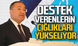 "Destek verenlerin çığlıkları yükseliyor"
