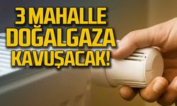 3 mahalle doğalgaza kavuşacak