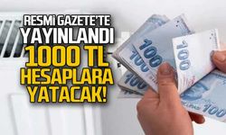 1000 TL'lik doğal gaz yardımı Resmi Gazete'de yayımlandı, detaylar netleşti