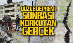 Düzce Depremi sonrası korkutan gerçek!