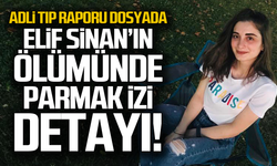 Elif Sinan'ın ölümünde bıçakta parmak izi detayı...