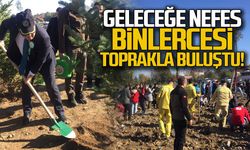 Zonguldak'ta binlerce fidan toprakla buluştu