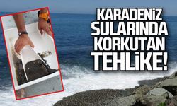 Karadeniz sularında korkutan tehlike
