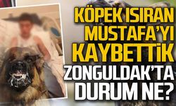 Köpek ısıran Mustafa’yı kaybettik… Zonguldak’ta durum ne?