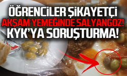 KYK yemeğinde salyangoz... Soruşturma başlatıldı