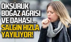 Yeni salgın hızla yayılıyor!
