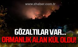 Ormanlık alan kül oldu: Gözaltılar var!