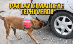 Patlayıcı maddeye tepki verdi!