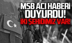 Piyade Uzman Çavuş Eyyüp Uğurlu ile Piyade Sözleşmeli Er Mehmet Demir şehit düştü