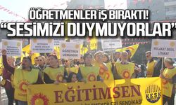 "Bakanlık sesimizi duymuyor"