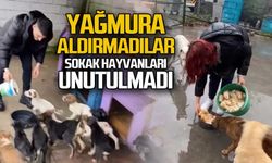 Sokak hayvanları unutulmadı