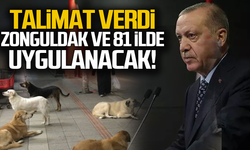 Erdoğan talimat verdi... Zonguldak ve tüm ülkede uygulanacak!