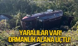 Alaplı'da kaza: Yaralılar var!