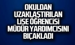 Okuldan uzaklaştırılan lise öğrencisi müdür yardımcısını bıçakladı