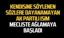 Kendisine söylenen sözlere dayanamayan AK Partili isim, mecliste ağlamaya başladı