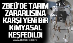 ZBEÜ’de tarım zararlısına karşı yeni bir kimyasal keşfedildi