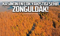 Kasım'ın en çok yakıştığı şehir Zonguldak!