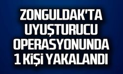 Zonguldak'ta uyuşturucu operasyonunda 1 kişi yakalandı