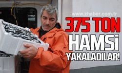 375 ton hamsi yakaladılar!