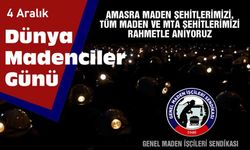 "Bu yıl madenciler gününü buruk kutluyoruz"