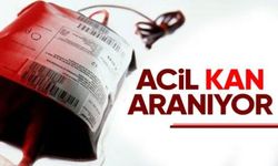 Acil Arh(-) kan aranıyor
