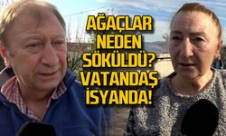 Meyve ağaçları neden söküldü? Vatandaş isyanda
