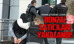 Bonzai satıcıları yakalandı!