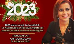 Merve Aslan'dan yeni yıl mesajı