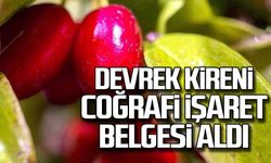 Devrek Kireni coğrafi işaret belgesi aldı