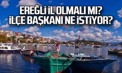 Ereğli il olmalı mı?... Demirtürk ne istiyor?