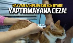 Hayvan sahipleri için son uyarı... Çip taktırmayana ceza!
