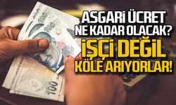 Türk İş'ten sert tepki... "İşçi değil köle arıyorlar"