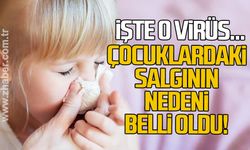 Çocuklardaki salgının nedeni belli oldu... İşte virüsün adı!
