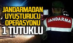 Jandarmadan uyuşturucu operasyonu 1 tutuklu