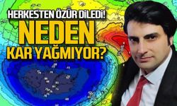 Herkesten özür diledi... Neden kar yağmıyor?