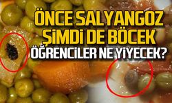 Öğrenci yurdunda yemeğin içinden salyangozdan sonra böcek de çıktı!