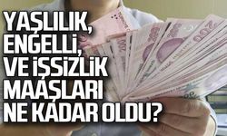 Yaşlılık, işsizlik, engelli maaşları ne kadar olacak?
