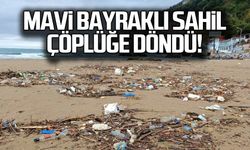 Mavi bayraklı sahil çöplüğe döndü!