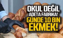 Okul değil adeta fabrika! Günde 10 bin ekmek üretecek