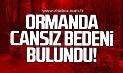 Ormanda cansız bedeni bulundu!