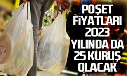 Poşet fiyatları 2023 yılında da 25 kuruş olacak