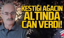 Recep Durmuş Kestiği ağacın altında can verdi!