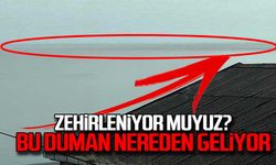 Zehirleniyor muyuz? Bu duman nereden geliyor?