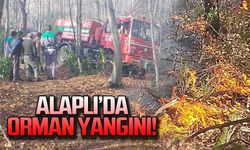 Alaplı'da orman yangını! Köylüler seferber oldu!