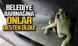 Belediye barınağına onlar destek oldu