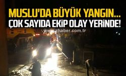 Muslu'da büyük yangın... Çok sayıda ekip olay yerinde!